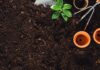 Proses Pembentukan Humus