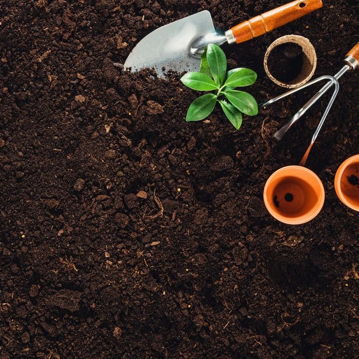 Proses Pembentukan Humus